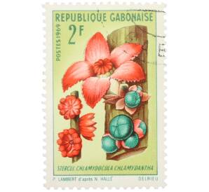 Почтовая марка 2 франка 1969 года Габон «Цветы — Стеркулия» — Фото №1