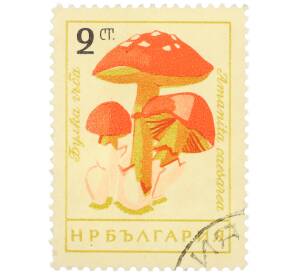 Почтовая марка 9 стотинок 1961 года Болгария «Грибы — Цезарский гриб» — Фото №1