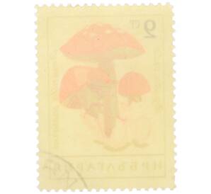 Почтовая марка 9 стотинок 1961 года Болгария «Грибы — Цезарский гриб» — Фото №2