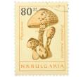Почтовая марка 80 стотинок 1961 года Болгария «Грибы — Гриб-зонтик пёстрый» (Артикул: K12-88335) — Фото №1