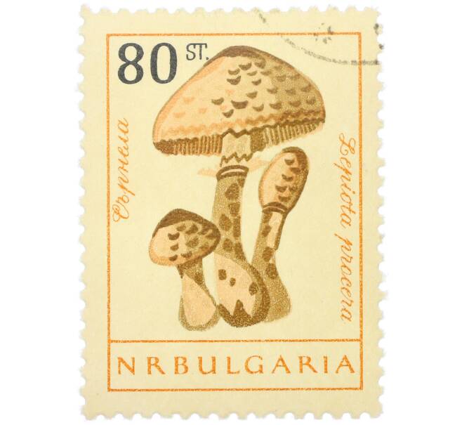 Почтовая марка 80 стотинок 1961 года Болгария «Грибы — Гриб-зонтик пёстрый» (Артикул: K12-88335) — Фото №1