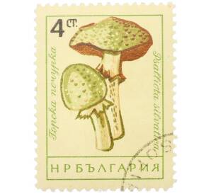 Почтовая марка 4 стотинки 1961 года Болгария «Грибы — Шампиньон лесной» — Фото №1
