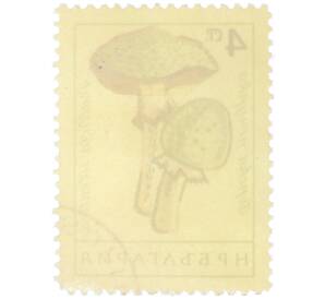 Почтовая марка 4 стотинки 1961 года Болгария «Грибы — Шампиньон лесной» — Фото №2
