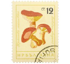 Почтовая марка 12 стотинок 1961 года Болгария «Грибы — Лиственничный маслёнок» — Фото №1