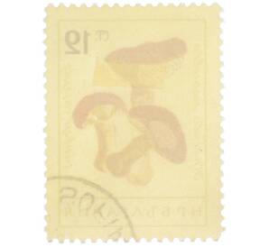 Почтовая марка 12 стотинок 1961 года Болгария «Грибы — Лиственничный маслёнок» — Фото №2