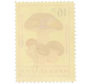 Почтовая марка 16 стотинок 1961 года Болгария «Грибы — Белый гриб» — Фото №2