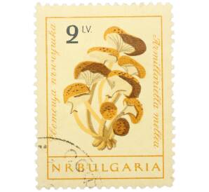 Почтовая марка 9 стотинок 1961 года Болгария «Грибы — Опёнок осенний» — Фото №1