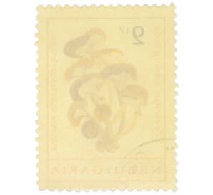 Почтовая марка 9 стотинок 1961 года Болгария «Грибы — Опёнок осенний» — Фото №2