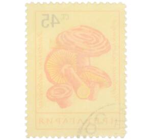 Почтовая марка 45 стотинок 1961 года Болгария «Грибы — Рыжик настоящий» — Фото №2