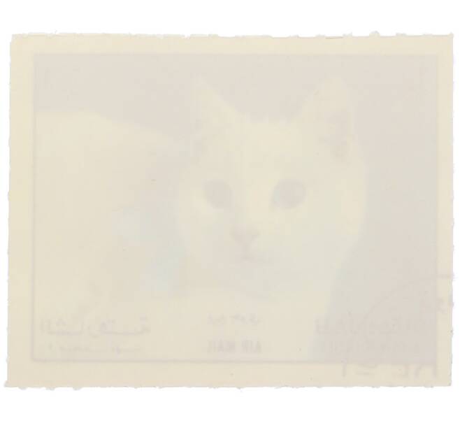 Почтовая марка 1 риал 1964 года Шарджа и территории «Кошки — Короткошёрстная кошка» (Авиапочта) (Артикул: K12-88343) — Фото №2