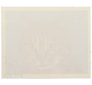 Почтовая марка 1 риал 1972 года Шарджа и территории «Кошки — Американская короткошёрстная кошка» (Авиапочта) — Фото №2