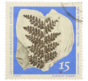 Почтовая марка 15 пфеннигов 1973 года Восточная Германия (ГДР) «Палеонтологический музей в Берлине — Семенной папоротник каменноугольного периода» — Фото №1