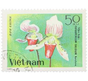 Почтовая марка 50 су 1979 года Вьетнам «Орхидеи — Пафиопедилюм мозолистый» — Фото №1