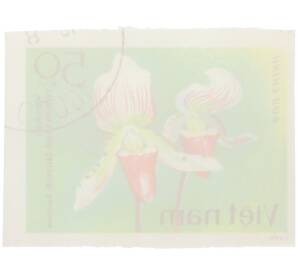 Почтовая марка 50 су 1979 года Вьетнам «Орхидеи — Пафиопедилюм мозолистый» (Без перфорации) — Фото №2