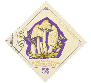 Почтовая марка 5 менге 1964 года Монголия «Грибы — Навозник белый» — Фото №1