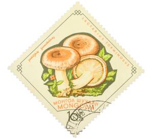 Почтовая марка 10 менге 1964 года Монголия «Грибы — Волнушка розовая» — Фото №1