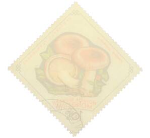 Почтовая марка 10 менге 1964 года Монголия «Грибы — Волнушка розовая» — Фото №2