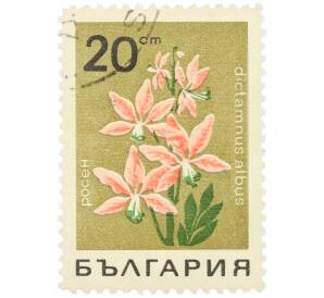 Почтовая марка 20 стотинок 1968 года Болгария «Лекарственные растения — Ясенец белый» — Фото №1