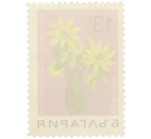 Почтовая марка 13 стотинок 1968 года Болгария «Лекарственные растения — Молодило белейшее» — Фото №2