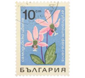 Почтовая марка 10 стотинок 1968 года Болгария «Лекарственные растения — Кандык собачий зуб» — Фото №1