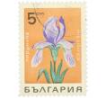 Почтовая марка 5 стотинок 1963 года Болгария «Цветы — Ирис сибирский» (Артикул: K12-88380) — Фото №1