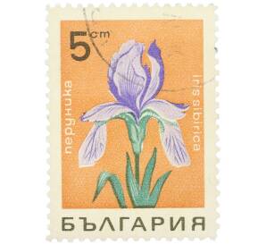 Почтовая марка 5 стотинок 1963 года Болгария «Цветы — Ирис сибирский» — Фото №1