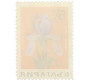 Почтовая марка 5 стотинок 1963 года Болгария «Цветы — Ирис сибирский» — Фото №2