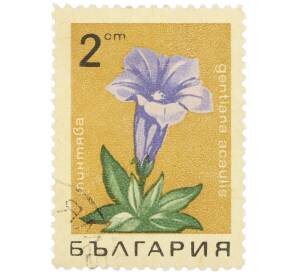 Почтовая марка 2 стотинки 1968 года Болгария «Горные цветы — Горечавка бесстебельная» — Фото №1