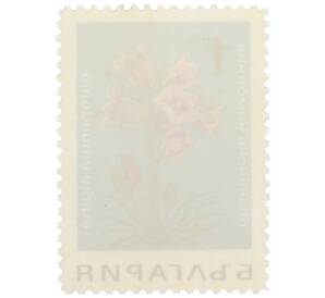 Почтовая марка 1 стотинка 1968 года Болгария «Горные цветы — Колокольчик альпийский» — Фото №2