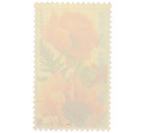 Почтовая марка 0.15 экуэле 1974 года Экваториальная Гвинея «Флора — Мак восточный» — Фото №2