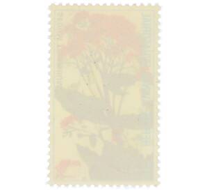 Почтовая марка 0.25 экуэле 1974 года Экваториальная Гвинея «Флора — Очиток обыкновенный» — Фото №2