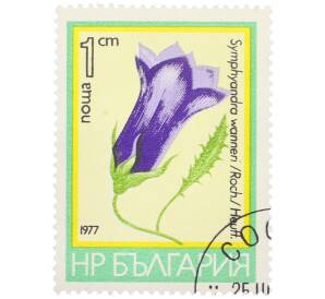 Почтовая марка 1 стотинка 1977 года Болгария «Цветы — Симфиандра Ваннера» — Фото №1