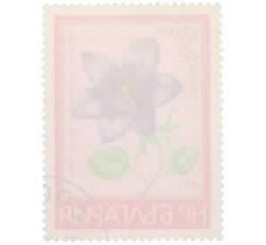 Почтовая марка 2 стотинки 1977 года Болгария «Цветы — Петковия орфанидея» — Фото №2