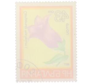 Почтовая марка 43 стотинки 1977 года Болгария «Цветы — Колокольчик крапиволистный» — Фото №2