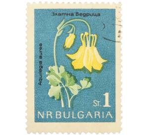Почтовая марка 1 стотинка 1963 года Болгария «Цветы — Водосбор золотистый» — Фото №1