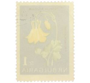 Почтовая марка 1 стотинка 1963 года Болгария «Цветы — Водосбор золотистый» — Фото №2