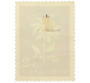 Почтовая марка 2 стотинки 1963 года Болгария «Цветы — Эдельвейс альпийский» — Фото №2