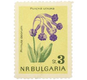 Почтовая марка 3 стотинки 1963 года Болгария «Цветы — Первоцвет божественный» — Фото №1
