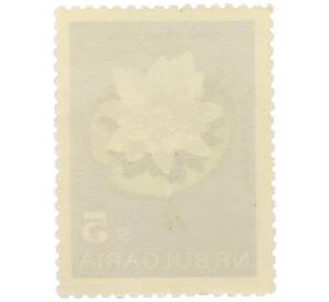 Почтовая марка 5 стотинок 1963 года Болгария «Цветы — Кувшинка белая» — Фото №2