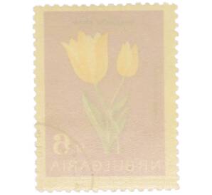 Почтовая марка 6 стотинок 1963 года Болгария «Цветы — Тюльпан Урумова» — Фото №2