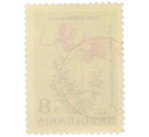 Почтовая марка 8 стотинок 1963 года Болгария «Цветы — Фиалка длинношпорцевая» — Фото №2