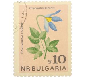 Почтовая марка 10 стотинок 1963 года Болгария «Цветы — Ломонос альпийский» — Фото №1