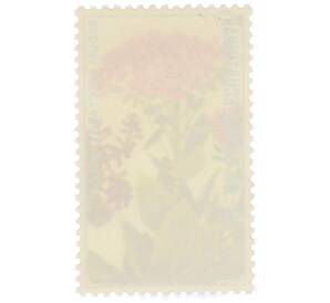 Почтовая марка 0.30 экуэле 1974 года Экваториальная Гвинея «Цветы — Очиток видный» — Фото №2