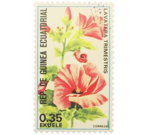 Почтовая марка 0.35 экуэле 1974 года Экваториальная Гвинея «Цветы — Хатьма трехмесячная» — Фото №1