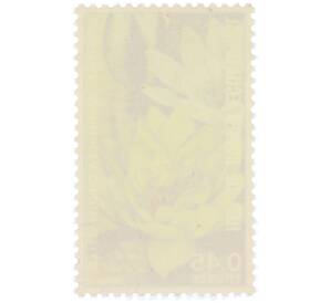 Почтовая марка 0.45 экуэле 1974 года Экваториальная Гвинея «Цветы — Кувшинка Марлиака Хромателла» — Фото №2