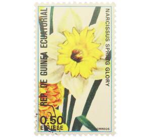 Почтовая марка 0.50 экуэле 1974 года Экваториальная Гвинея «Цветы — Нарцисс Спринг Глори» — Фото №1