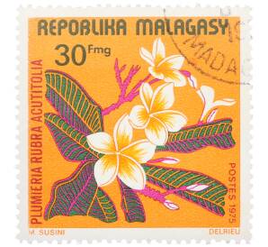 Почтовая марка 30 франков 1975 года Мадагаскар «Растения — Плюмерия красная» — Фото №1