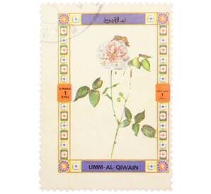 Почтовая марка 1 риал 1972 года Умм-эль-Кайвайн «Роза» (Надпись авиапочты) — Фото №1