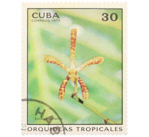 Почтовая марка 30 сентаво 1973 года Куба «Тропические орхидеи — Арахнис Катерина» — Фото №1