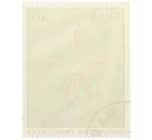 Почтовая марка 30 сентаво 1973 года Куба «Тропические орхидеи — Арахнис Катерина» — Фото №2